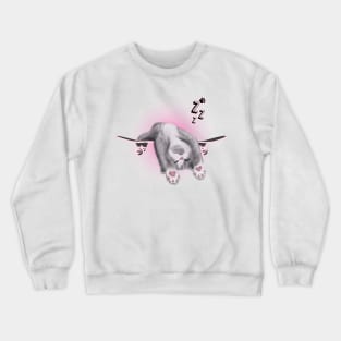 Skateboarding Cat Crewneck Sweatshirt